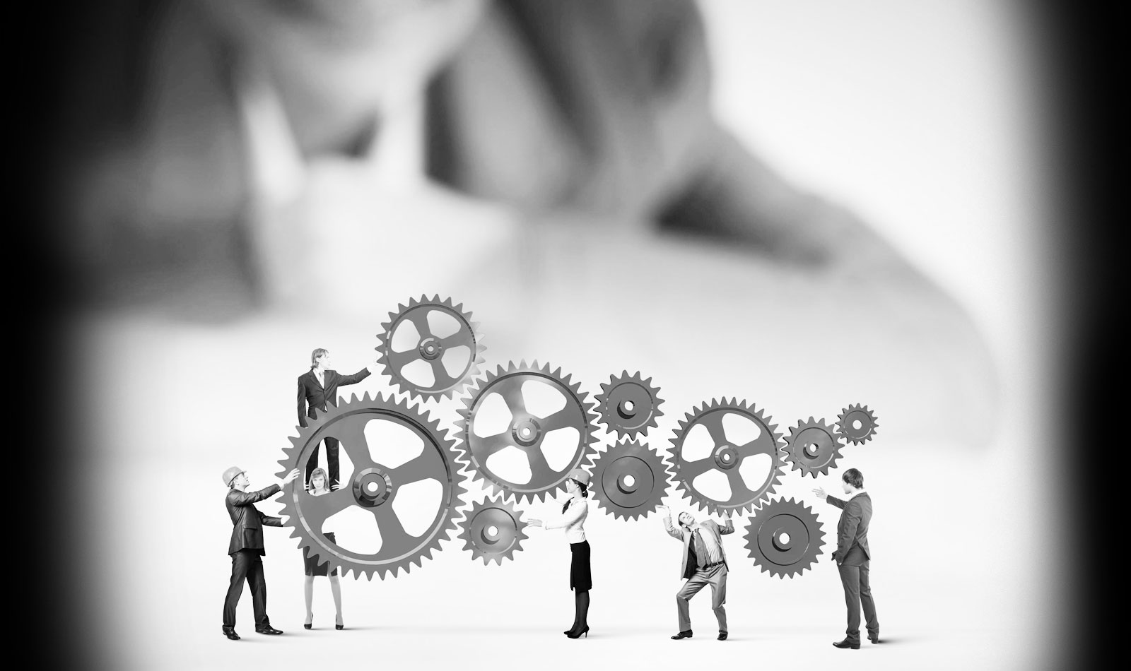 MDC professional team collaboration